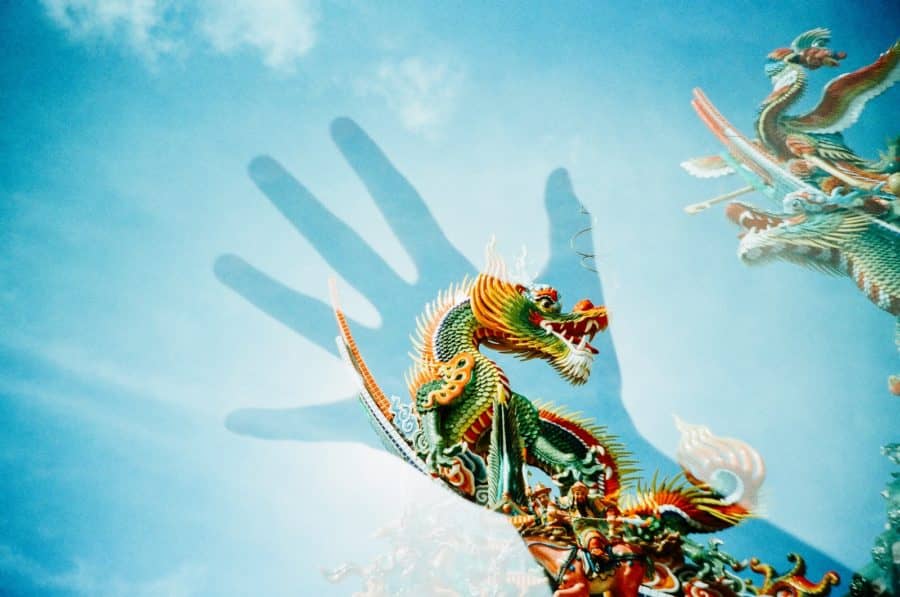 How to Identify Your Spirit Animal by Birthday